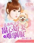 总裁枕边爱:甜心娇妻难驯服