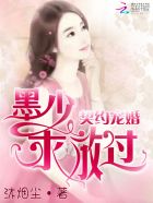 契约宠婚:墨少,求放过