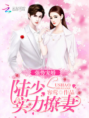 强势宠婚:陆少,实力撩妻