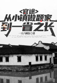 官途:从小镇做题家到一省之长
