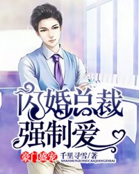 豪门盛宠:闪婚总裁强制爱