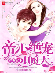 鲜妻在上:帝少绝宠100天