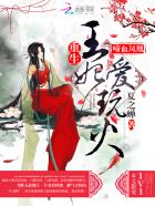 啼血凤凰:重生王妃爱玩火