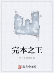 完本之王.