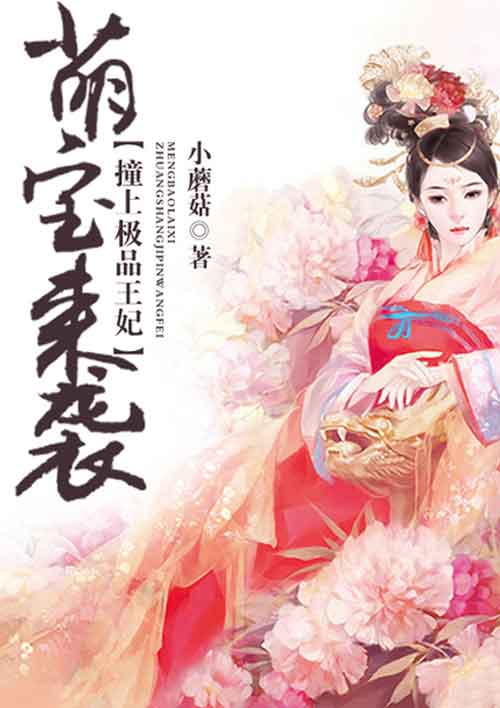 萌宝来袭:撞上极品王妃