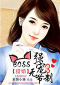 猎婚:boss强宠无节制