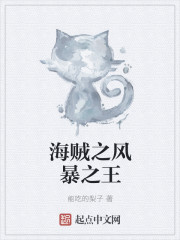 海贼之风暴之王