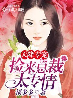 天降专宠:捡来总裁太钟情