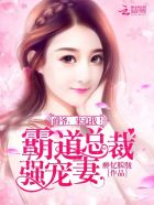 霸道总裁强宠妻:爵爷,来追我!