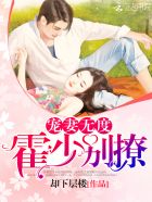 宠妻无度:霍少,别撩!