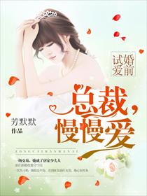 婚前试爱:总裁,慢慢爱