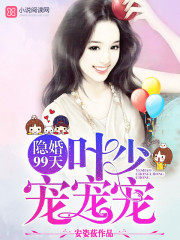 隐婚99天:叶少,宠宠宠!