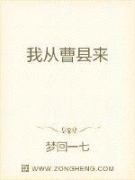 �ҴӲ�����