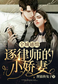 全城通缉:逐律师的小娇妻