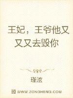 王妃,王爷他又又又去毁你