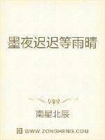墨夜迟迟等雨晴