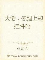 大佬,你缺腿上挂件吗