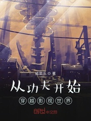 �ӹ���ʼ��ԽӰ������