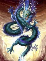 �����޻��½