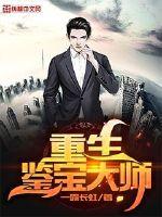 ����������ʦ