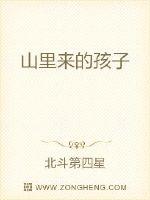 ɽ�����ĺ���