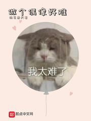 ����ż�����