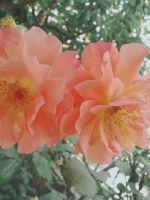 �滨�ж���