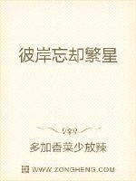 ½��������������