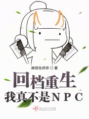 �ص����������治��NPC